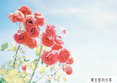 ​遇见自己的唯美句子（51句最美遇见短句文案）