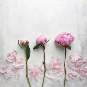 ​温柔又好听的早安说说（温暖治愈你最喜欢哪一句）