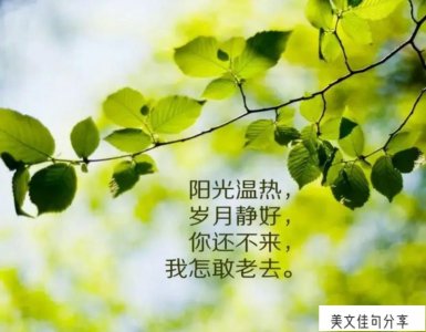 ​愿时光静好的唯美句子（100句岁月静好的小短句）