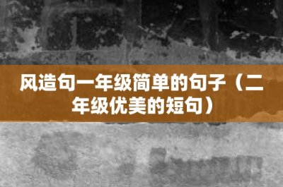 ​风造句一年级简单的句子（二年级优美的短句）