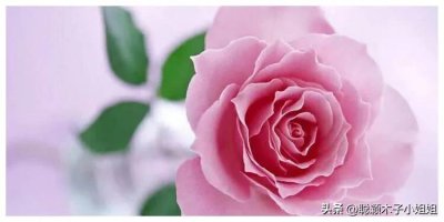 ​感恩节 ：感恩今生相遇的每个人