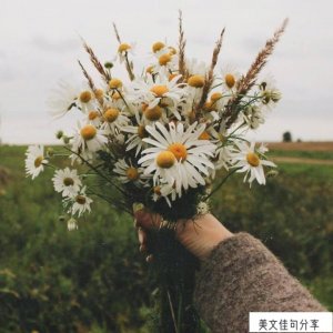 ​多想回到从前的经典句_感言怀念曾经的时光