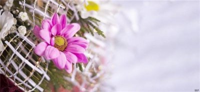 ​充满正能量的早安短句（正能量满满的经典语句）