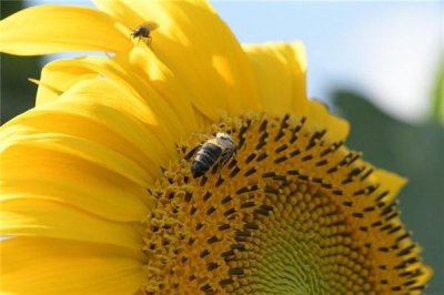 ​正能量暖心的早安心语(发朋友圈激励自己的优美句子)