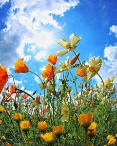 ​睡前发朋友圈的说说(发朋友圈太合适了)