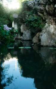 ​形容庭院幽静而雅致的句子（关于庭院风月闲的短句）