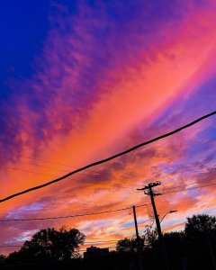 ​用心付出的句子正能量（20句用心做事的短句）