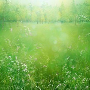 ​描写春天的句子优美短句（关于春天的美好句子文案，温暖春风春雨春暖花开唯美