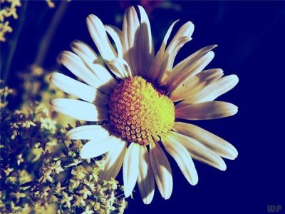 ​让人悲伤不已的文艺短句(我们步步回头却只能继续往前走)