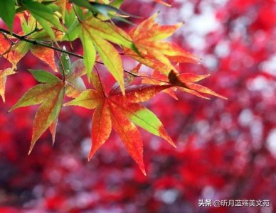 ​暗示我在等你的文案句子（表达我愿意等你的句子）