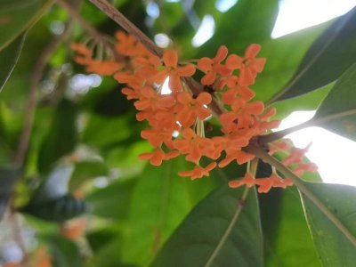 ​今天好冷怎么发朋友圈（15句今天有点小冷的句子）