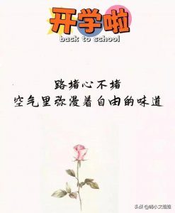 ​开学唯美文案朋友圈（15句适合开学句子）