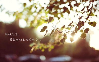 ​八月再见九月你好文案（20句表达明年再见短句）