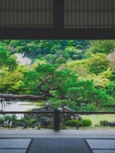 ​书的四字成语