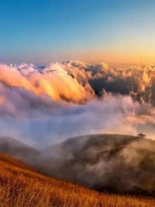 ​形容感动的成语