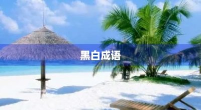 ​黑白成语