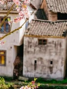 ​形容小心的成语(形容小心的成语小心翼翼除外)