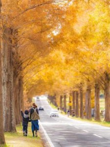 ​撞字开头的成语(行字开头的成语有哪些)