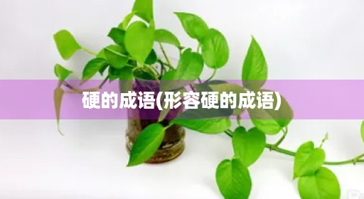 硬的成语(形容硬的成语)