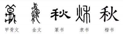​耐字开头的成语(耐字开头的成语奈)
