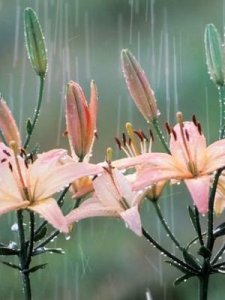 ​下开头的四字成语