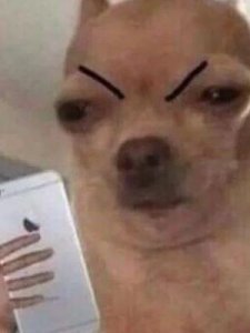 ​怪字开头的成语(浩字开头的成语)