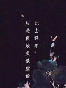 ​此字开头的成语