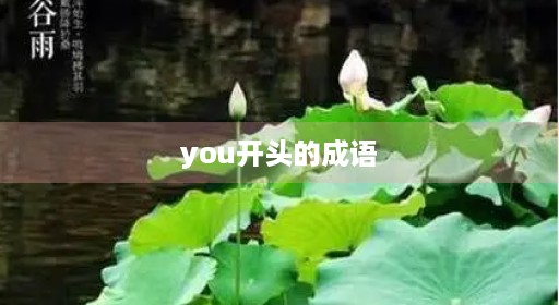 you开头的成语
