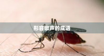 ​形容歌声的成语