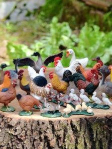 ​鸯字开头的成语(鸯开头成语有哪些成语)