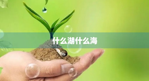什么湖什么海