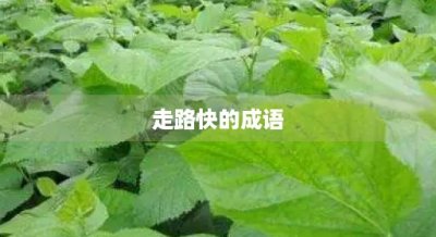 ​走路快的成语