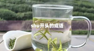​shu开头的成语