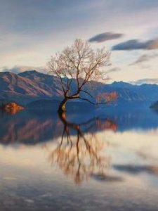 ​关于团结的成语