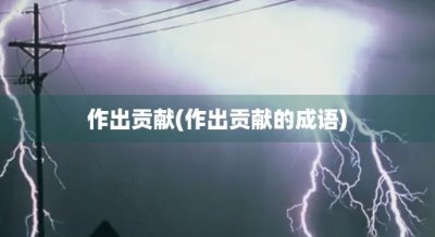 ​作出贡献(作出贡献的成语)