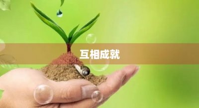 ​互相成就(互相成就的成语)