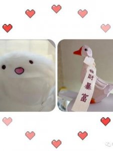 ​突如其来的惊喜(突如其来的惊喜的成语)