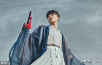 ​成语取名男孩(四字成语取名男孩)