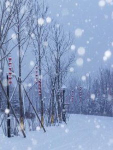 ​形容雪大的成语