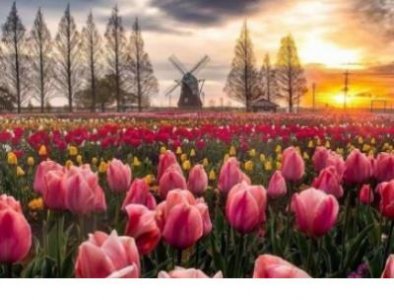 ​再见2023你好2023的话 12月你好的说说(18句)