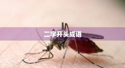 ​二字开头成语