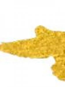 ​热爱祖国的成语