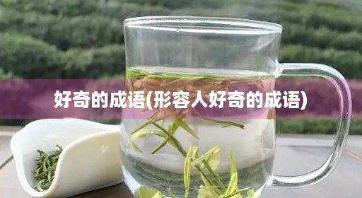 好奇的成语(形容人好奇的成语)