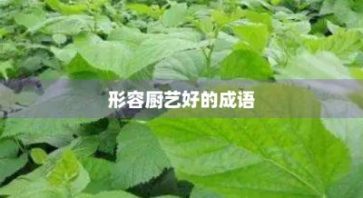 ​形容厨艺好的成语