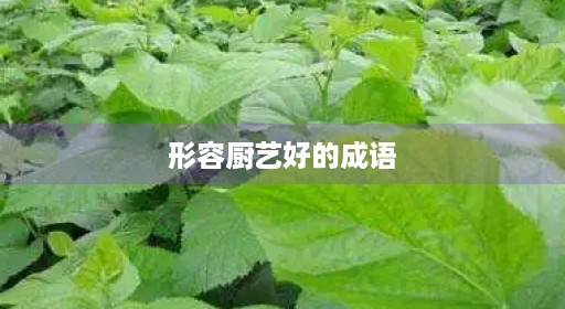 形容厨艺好的成语 形容厨艺好的成语