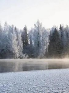 ​形容晚上的成语