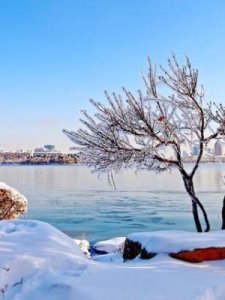 ​是非的成语(形容搬弄是非的成语)