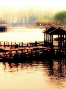 ​江的四字成语(牛的四字成语)