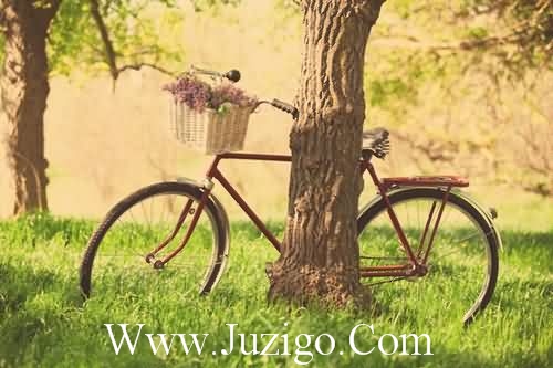 讽刺女人的经典语句内涵讽刺人的经典语句(精选70句)