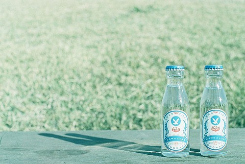 春分节气祝福语朋友圈文案春分节气经典祝福语精选